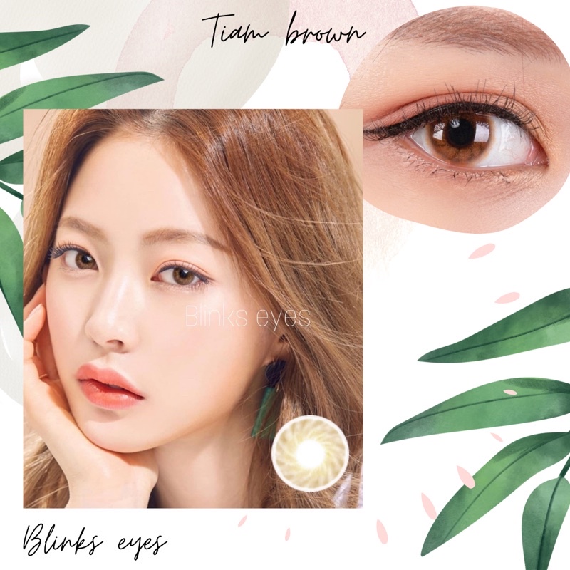 Tiam brown lens [ full 0-6 độ] - kính áp tròng