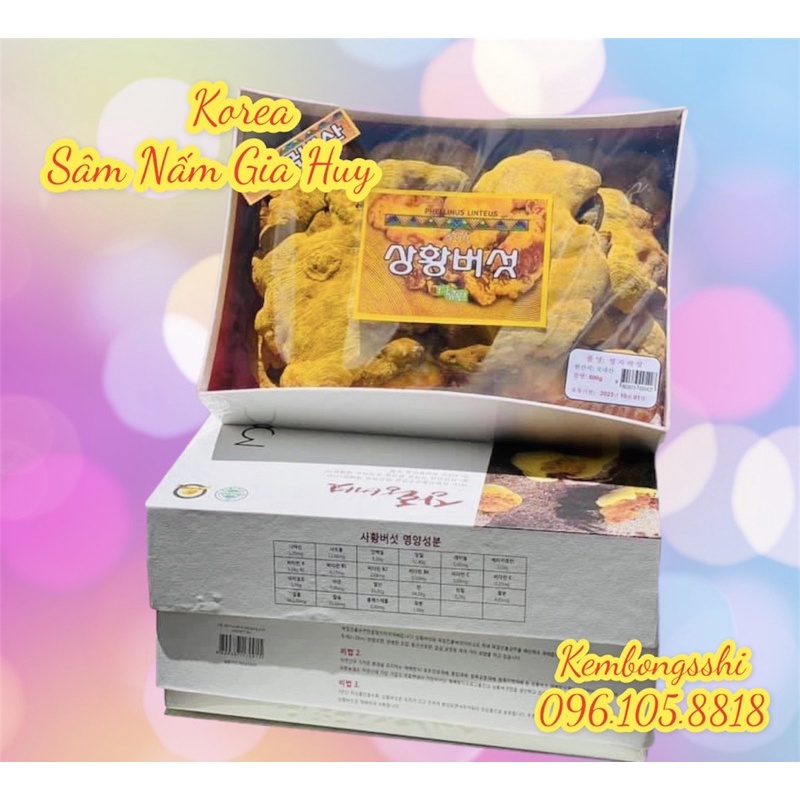 [HÀNG MỚI VỀ] Nấm Linh Chi Thượng Hoàng Cao Cấp Hàn Quốc Hộp 365