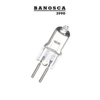 Bóng đèn xông tinh dầu ► Bóng đèn Halogen cho đèn xông tinh dầu GIÁ SỈ