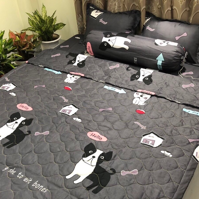 ( TRI ÂN KHÁCH HÀNG ) Vỏ gối ôm  cá tính, hiện đại, sang trọng giao màu ngẫu nhiên | BigBuy360 - bigbuy360.vn