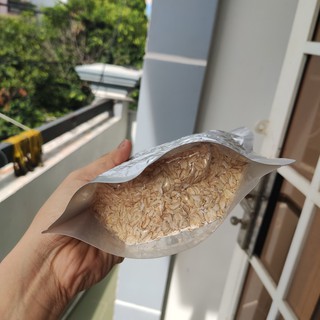 Yến mạch Nutrion cán Dẹt (mỏng) 500g