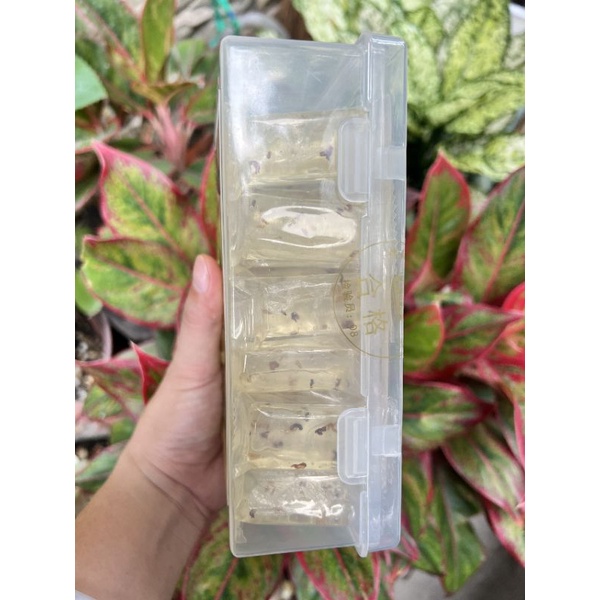 Kẹo hoa Huế Lâm - Kẹo La Hán Quả -Rất Thơm-Rất Ngon-Hộp 500g