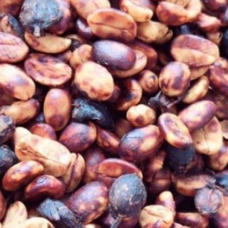 Cà phê Robusta Honey rang mộc nguyên chất