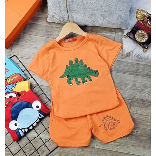 Đồ bộ xe hơi, khủng long bé trai size 8-20kg