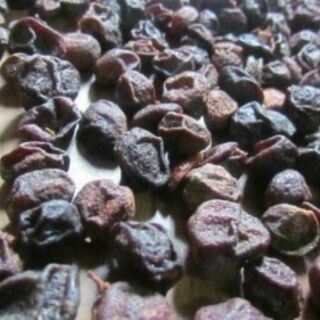 1kg Quả mắc mật