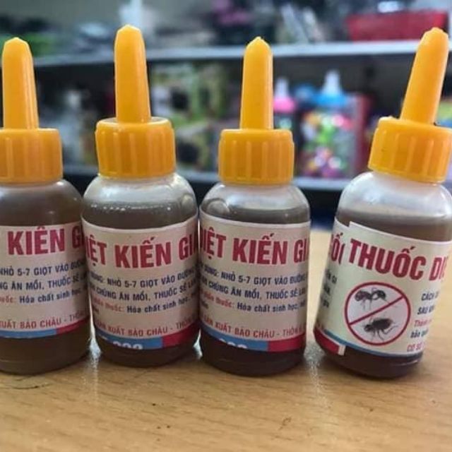 Thuốc diệt kiến gián-phandiepanh2017