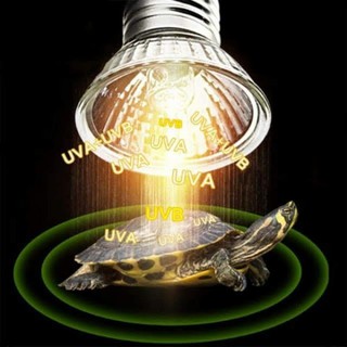 Đèn sưởi UVA + UVB 3.0 cho bò sát