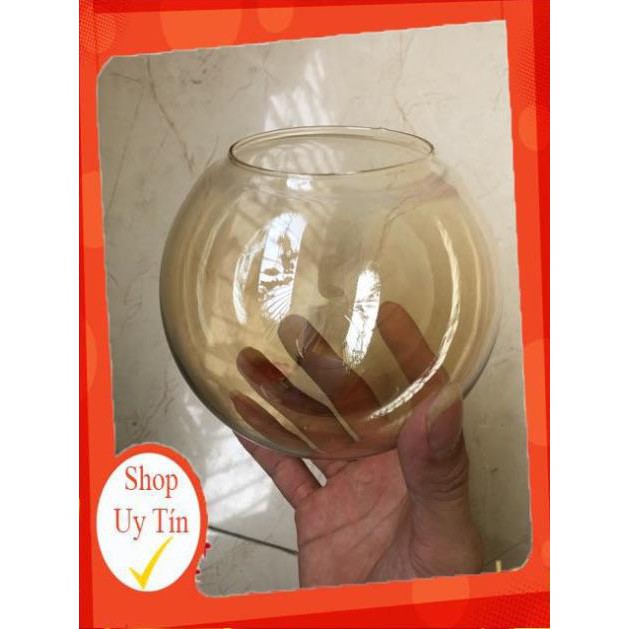 Chao thủy tinh đèn phân tử