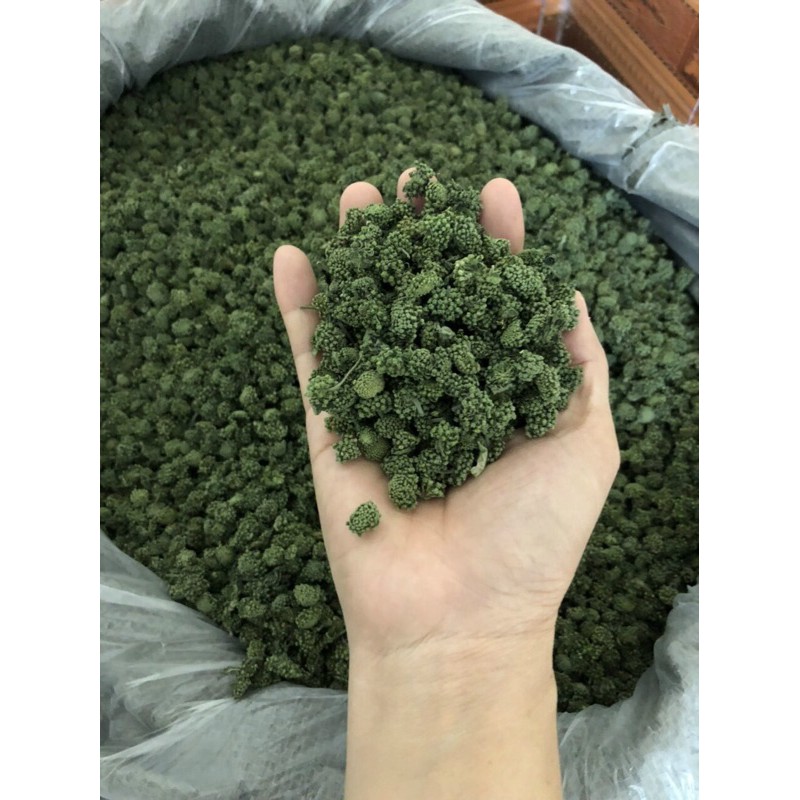 nụ tam thất Không cuống  (100g)