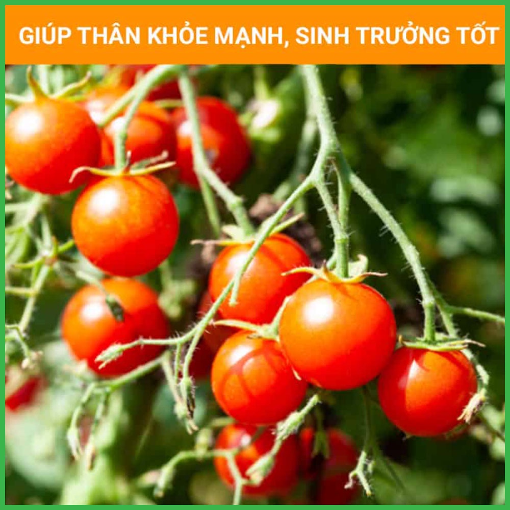 Muối Epsom  Bón Cây Trồng - Dùng Trong Nông Nghiệp