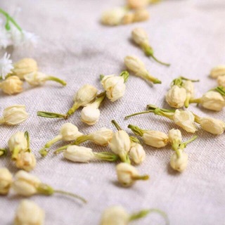 TRÀ NỤ NHÀI 100G