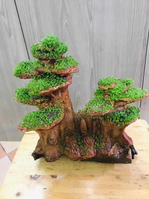 Layout Mini cho bể Thuỷ Sinh