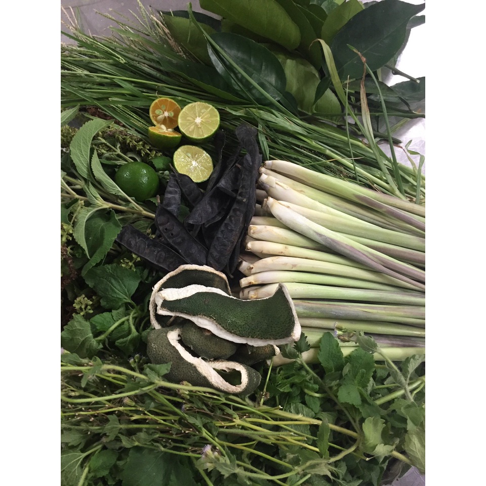 Dầu gội đầu thảo dược bồ kết**Free ship** mềm mượt, sạch gàu, ngăn rụng tóc, phục hồi tóc hư tổn 500ml