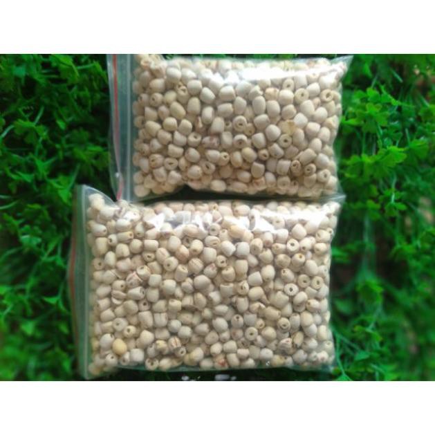 HẠT SEN KHÔ GIÁ SỈ {500G/1 KG}