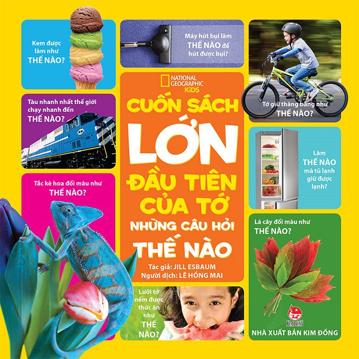 Cuốn sách lớn đầu tiên của tớ - Những câu hỏi thế nào