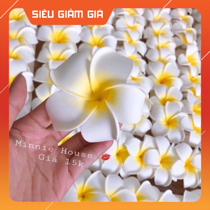 HOT Hoa đại cài tóc đi biển