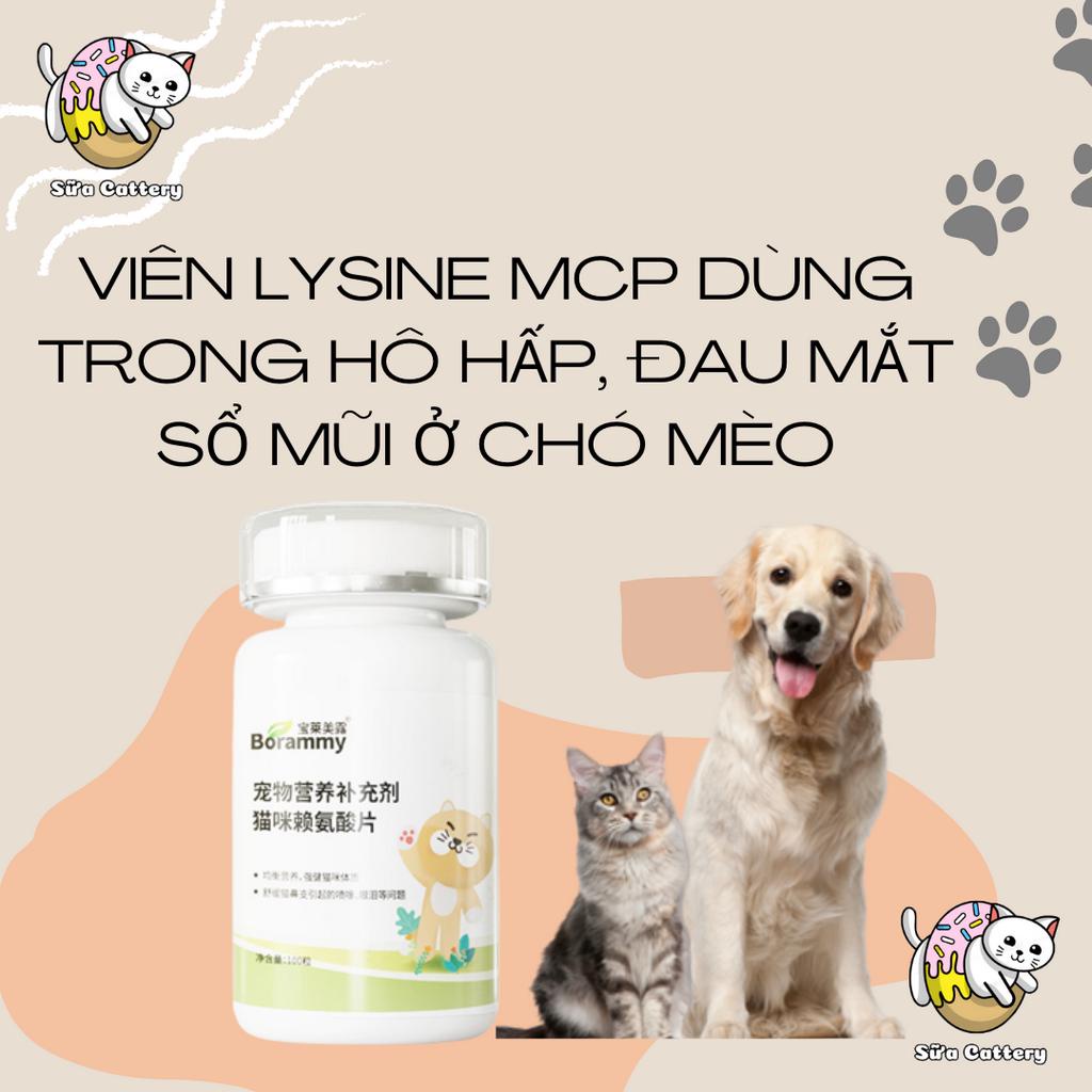Lysine hỗ trợ hô hấp tăng đề kháng cho chó mèo MCP Hộp 100 viên
