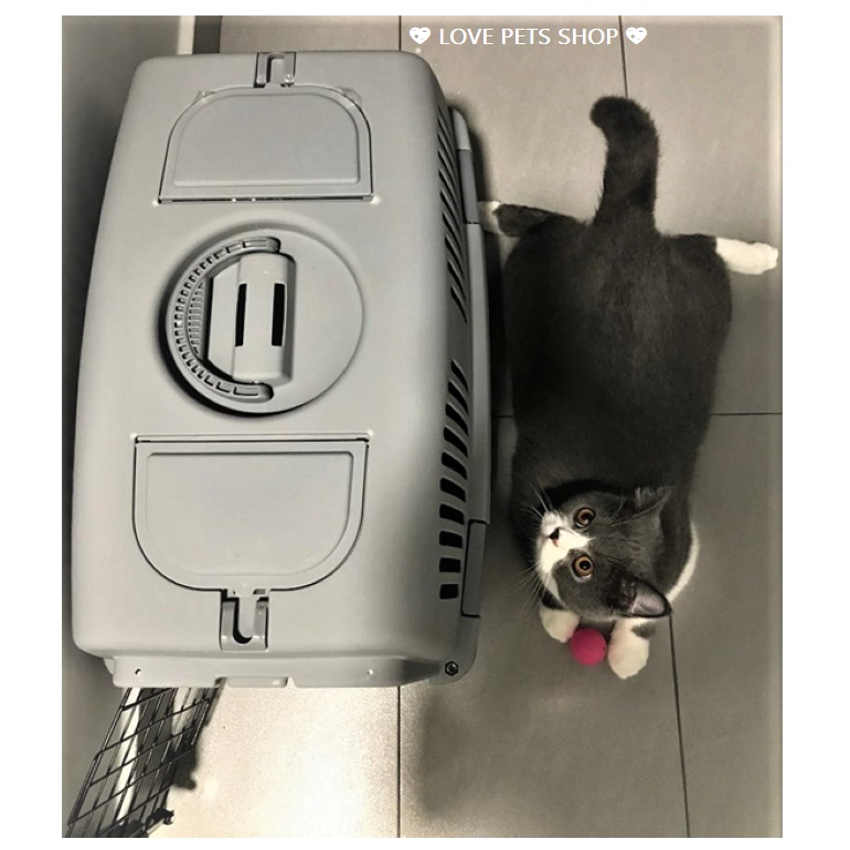 LỒNG VẬN CHUYỂN CHÓ MÈO ĐƯỜNG HÀNG KHÔNG, ĐƯỜNG TÀU -  LOVE PETS SHOP