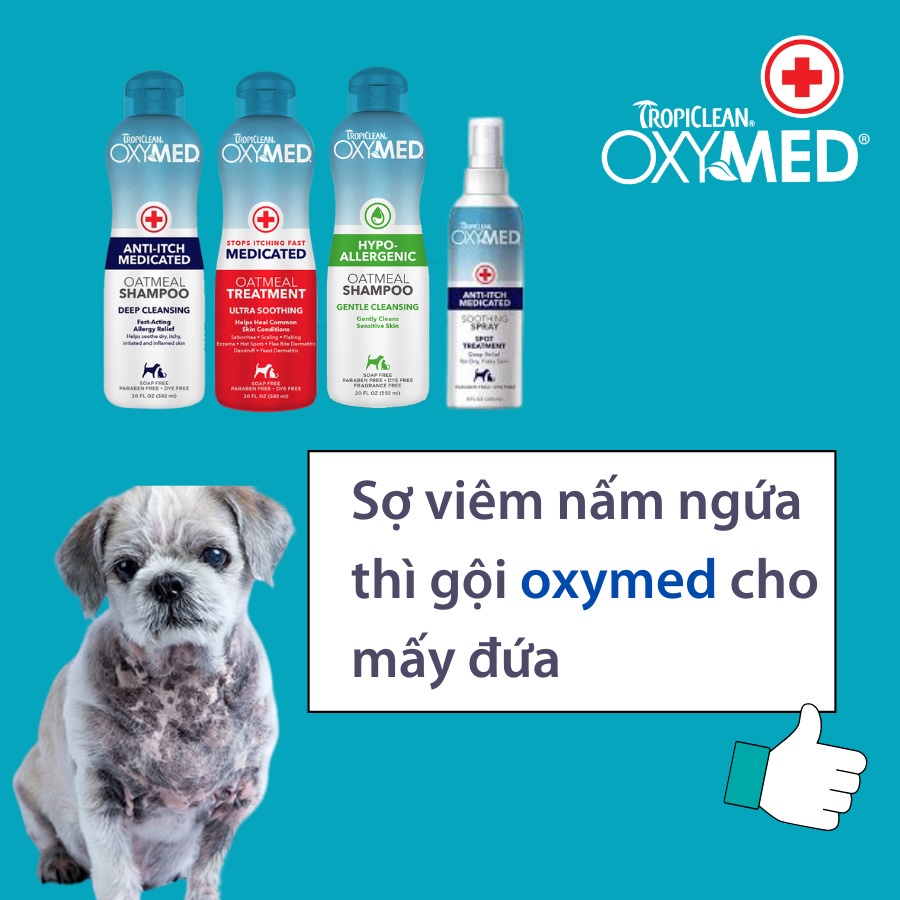 Xịt giảm ngứa cho chó mèo Oxymed 236ml, vệ sinh tắm chăm sóc lông cho thú cưng Con Mèo Xiêm
