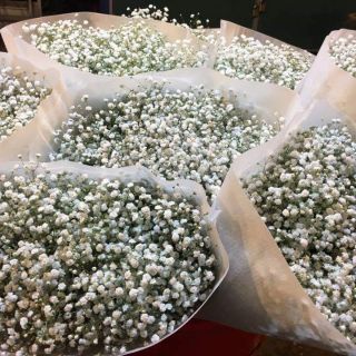 Com bo Hoa baby loại khô 180k