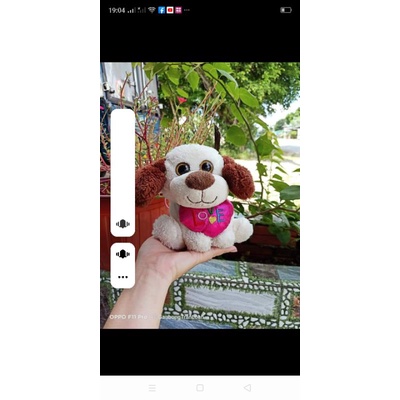 Gấu bông teddy gói quà 20/10