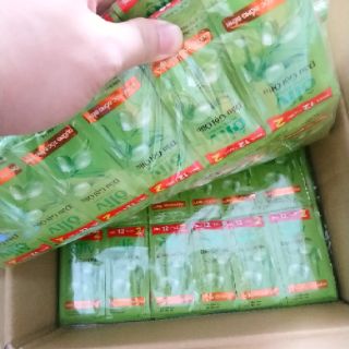 Dầu gội Ôliu Ôliv de Provence (dây 12+2 gói)