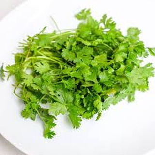 Hạt giống rau mùi ta 15 gram ( ngò rí)