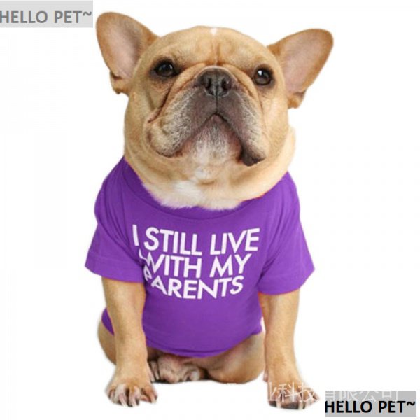 Áo Thun Cổ Tròn In Hình Chú Chó Bull Pháp N8A0 Cho Thú Cưng