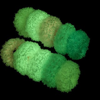 Cột tóc phát sáng dạ quang style Hàn Quốc