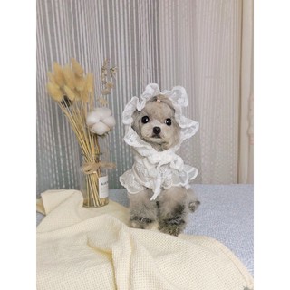 Áo ren xịn qc cho thú cưng