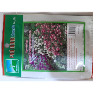 Hạt giống Hoa cúc nút áo Mixed PN-13 (500mg/gói)
