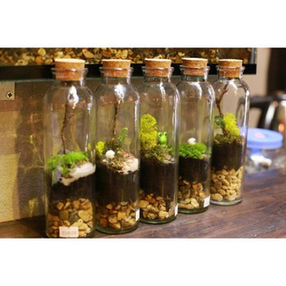 BỘ 3 CHAI THỦY TINH NÚT BẦN 350ML