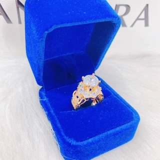 Nhẩn tay kim tiền mạ vàng 18k-size 6-7-8 nt size cho shop