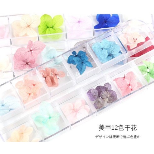 Hộp 12 màu hoa cẩm tú cầu khô màu sắc rực rỡ