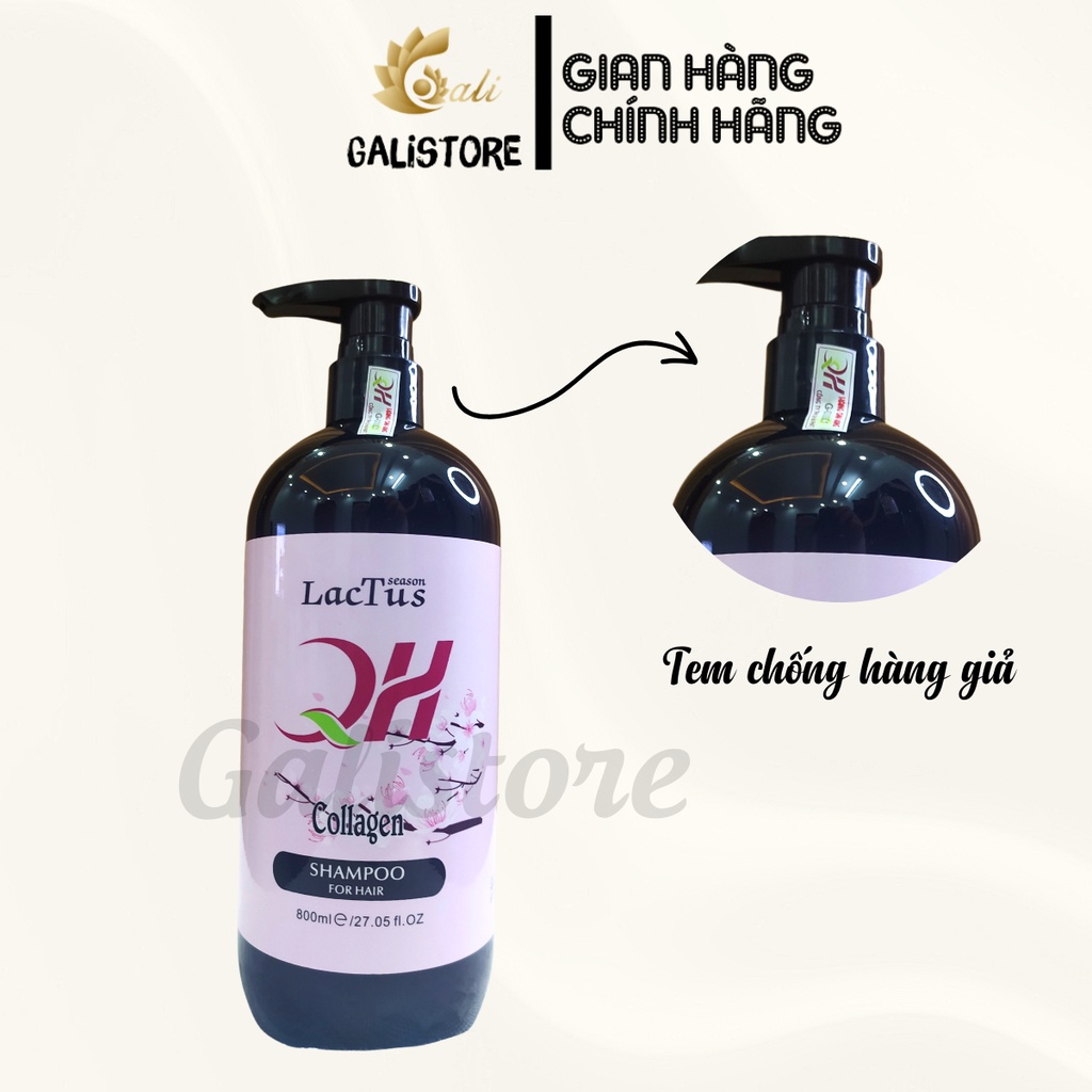 Dầu gội đầu ngăn rụng tóc QH Lactus season dầu gội da dầu, ngăn gàu - Galistore