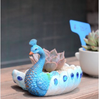Chậu trồng cây mini hình chim công