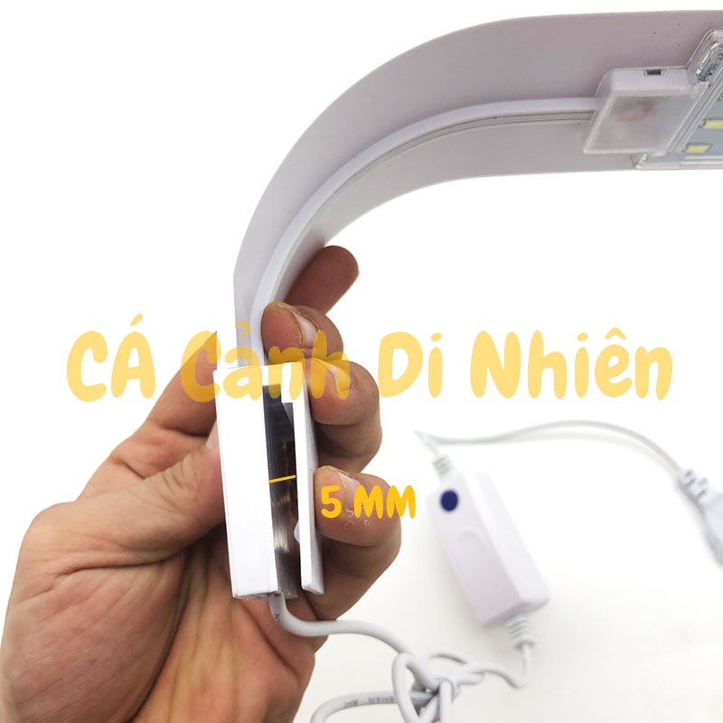 Đèn LED màu trắng, đổi màu kẹp thành hồ cá thủy sinh size 30-40 cm - Đèn hồ bể cá mini để bàn văn phòng M-280