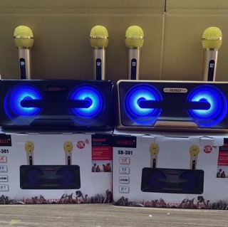 LOA KARAOKE SD-301 (tặng kèm 2 Mic ko dây )