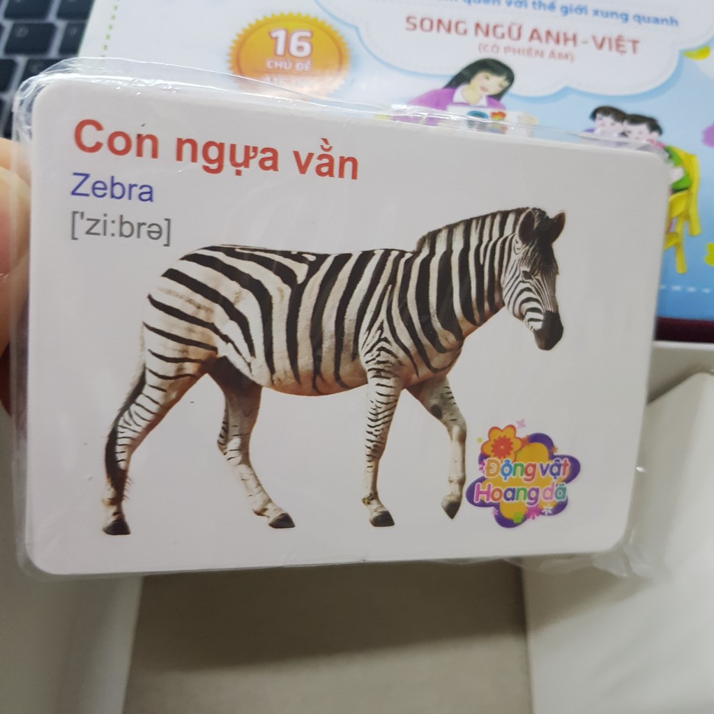 1 chủ đề thẻ học thông minh size nhỏ 7x10cm của hộp 16 chủ đề