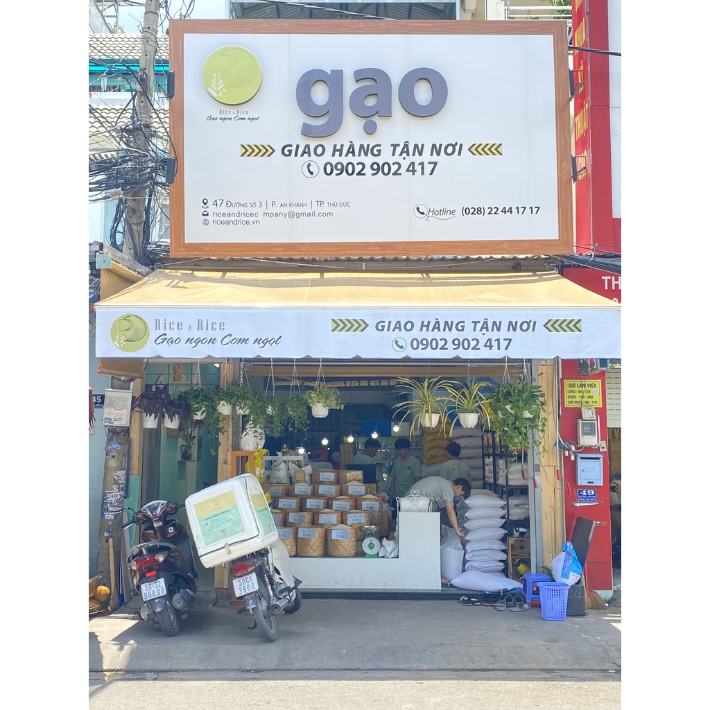 Túi 5KG Gạo Sa Ri – Sơ Ri – Sa mơ - Vị ngọt nhẹ, xốp mềm, thơm hạt - Rice&Rice