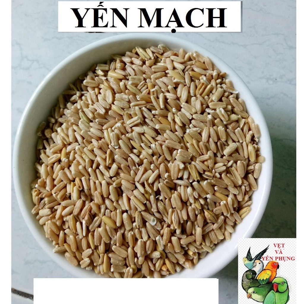 100G HẠT YẾN MẠCH ĐÃ BÓC VỎ CHO CHIM,VẸT,HAMSTER VÀ THÚ CƯNG