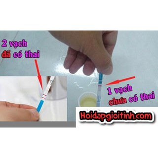 (✅Nhà thuốc) Que thử thai Chip Chip chín hãng