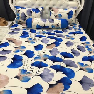 Drap thun hàn quốc