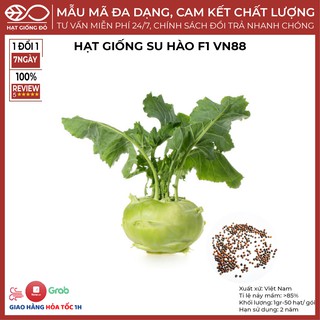 Hạt Giống Su Hào F1 VN88 ( 1gr - 50 hạt ) - Giống có thời gian sinh trưởng ngắn, kháng bệnh tốt, vỏ củ màu xanh