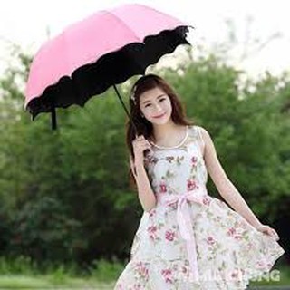 ô hoa nở (Gặp nước sẽ nở hoa hàng loại 1) / ô nở hoa