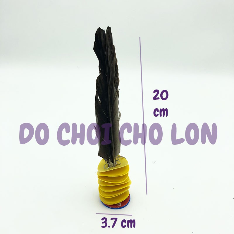 Compo 5 quả cầu đá thể thao Mèo Đen Số 4