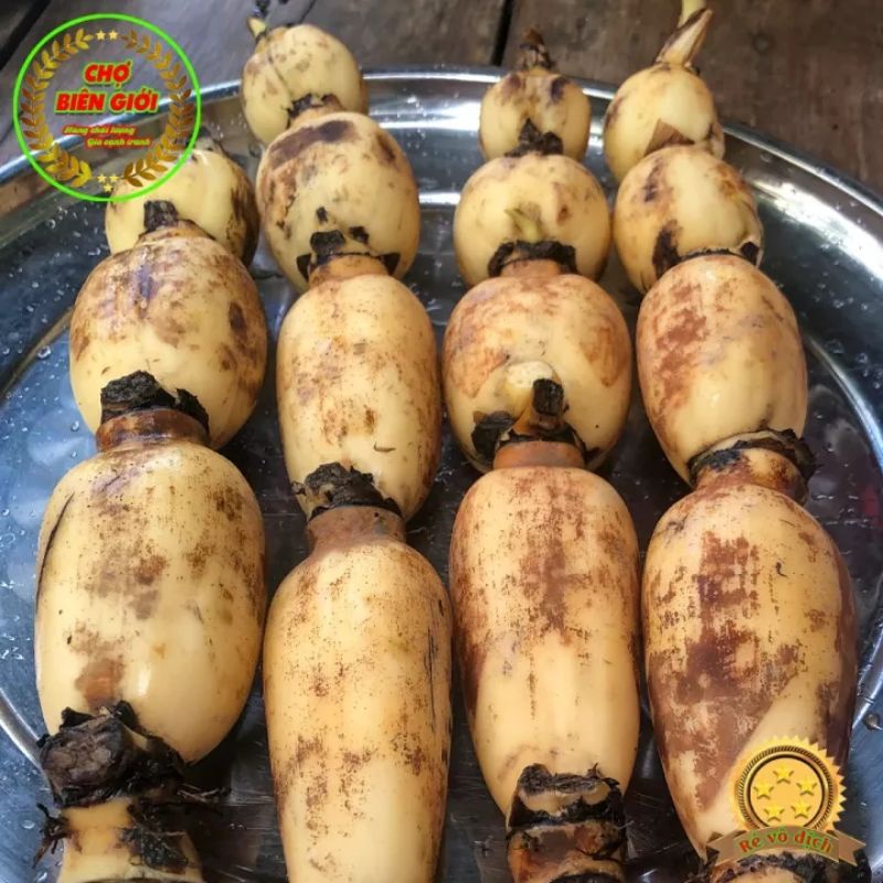 01 Kg Củ Sen Tươi Vùng Châu Đốc Ngọt Thanh Dùng Nấu Nhiều Món Ăn Ngon