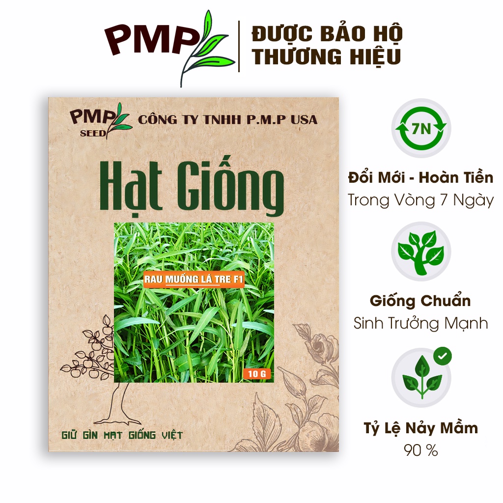 Hạt Giống Rau Muống Lá Tre PMP