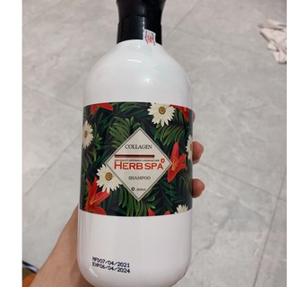 💖 FREESHIP 💖 DẦU GỘI CẶP CAO CẤP HERB SPA