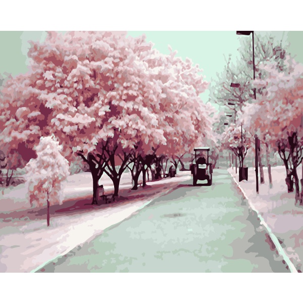 Tranh sơn dầu số hóa rẻ,đẹp-tranh tô màu theo số- tranh phong cảnh đẹp 1, Tặng khăn,có khung 40x50-Moonshop-TD1